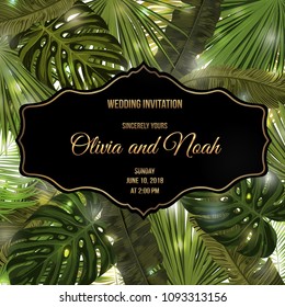 Tropic leaves background with frame for your text. Eps10 vector template.