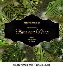 Tropic leaves background with frame for your text. Eps10 vector template.