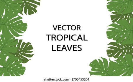 El trópico deja fondo con marco para el texto. Plantilla vectorial Eps10.