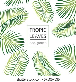 Tropic leaves background with frame for your text.