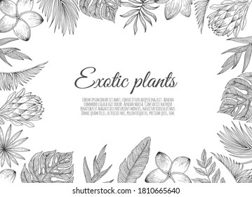 Tropic leaves and flowers background with frame for your text.