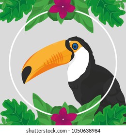 Tropic leaves flowers and toucan design