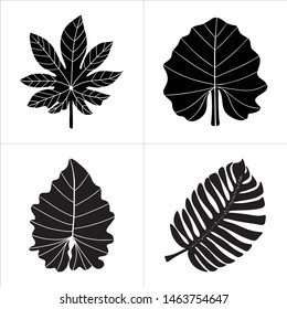 Tropic leaves Palm vector Black  leaf isolated object Jungle silhouette