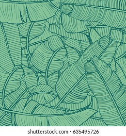 Tropic leaves pattern. Banana leaves background. Eps10 vector.