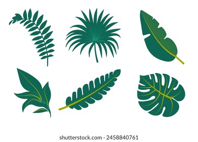  Tropic leaves set isolated on the white background. Vector illustration EPS 10