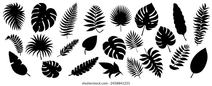 Tropic leaves silhouette isolated on the white background EPS 10