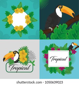 Tropic leaves and toucan design