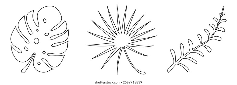 Tropic linear leaves continuous one line drawing. Vector illustration isolated on white.