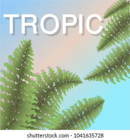Tropic mood poster . Template , web/print card .Herbal abstract illustration exotic background with sky.