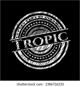 Tropic on blackboard. Vector Illustration. Detailed.
