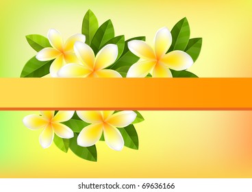 Anaranjado tropical con frangipani y hojas verdes