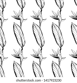 Tropic outline floral seamless pattern with black strelitzia and black banana leaf. Tropical wallpaper collection. Sketch in watercolor style. Hand drawn line on white background