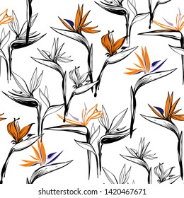Tropic outline floral seamless pattern with sketch strelitzia. Tropical wallpaper collection. Hand drawn line on white background.