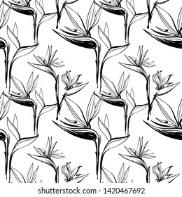 Tropic outline floral seamless pattern with black strelitzia and black strelitzia flowers. Tropical wallpaper collection. Sketch in watercolor style. Hand drawn line on white background