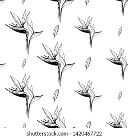 Tropic outline floral seamless pattern with black strelitzia and black banana leaf. Tropical wallpaper collection. Sketch in watercolor style. Hand drawn line on white background