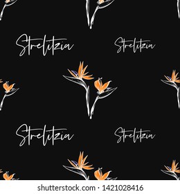 Tropic outline floral seamless pattern with strelitzia word and beautiful strelitzia. Tropical wallpaper collection. Sketch in watercolor style. Hand drawn line on white background