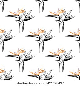 Tropic outline floral seamless pattern with graphic strelitzia. Tropical wallpaper collection. Sketch in watercolor style. Hand drawn line on white background