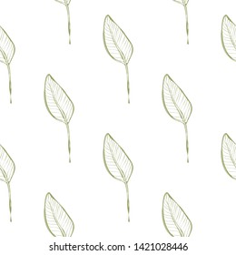 Tropic outline floral seamless pattern with green banana leaf. Tropical wallpaper collection. Sketch in watercolor style. Hand drawn line on white background