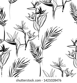 Tropic outline floral seamless pattern with black strelitzia flowers and palm leaf. Tropical wallpaper collection. Hand drawn line on white background.