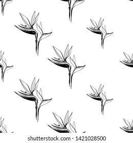 Tropic outline floral seamless pattern with black strelitzia. Tropical wallpaper collection. Sketch in watercolor style. Hand drawn line on white background