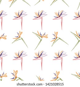 Tropic outline floral seamless pattern with pink strelitzia and green strelitzia. Tropical wallpaper collection. Sketch in watercolor style. Hand drawn line on white background