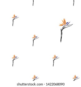 Tropic outline floral seamless pattern with sketch strelitzia. Tropical wallpaper collection. Sketch in watercolor style. Hand drawn line on white background