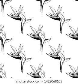 Tropic outline floral seamless pattern with black strelitzia. Tropical wallpaper collection. Sketch in watercolor style. Hand drawn line on white background