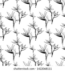 Tropic outline floral seamless pattern with black strelitzia and black strelitzia flowers. Tropical wallpaper collection. Sketch in watercolor style. Hand drawn line on white background