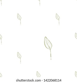 Tropic outline floral seamless pattern with green banana leaf. Tropical wallpaper collection. Sketch in watercolor style. Hand drawn line on white background
