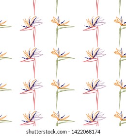 Tropic outline floral seamless pattern with pink strelitzia and green strelitzia. Tropical wallpaper collection. Sketch in watercolor style. Hand drawn line on white background