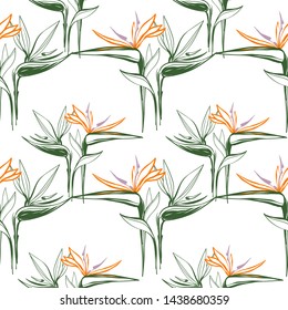 Tropic outline floral seamless pattern with graphic strelitzia. Tropical wallpaper collection. Sketch in watercolor style. Hand drawn line on white background