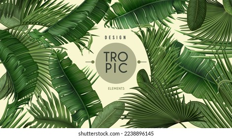 Tropic palm leaf frame, spa plants background. Realistic forest jungle wallpaper, summer green tree poster template, monstera and banana leaves hawaii nature. Vector illustration exact design