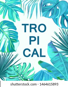 Tropic palm leaves for wallpaper, spa, plant, wadding, greeting card. Vector illustration