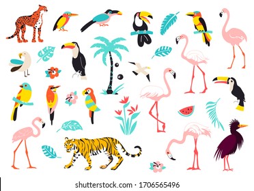 Tropic paradise animals flowers and plants. Rainforest vector set.