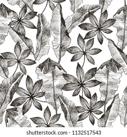 Tropic plants floral seamless jungle pattern. Print vector background of fashion summer wallpaper palm banana leaves in black and white gray style