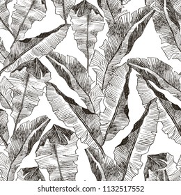 Tropic plants floral seamless jungle pattern. Print vector background of fashion summer wallpaper palm banana leaves in black and white gray style