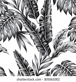 Tropic plants floral seamless jungle pattern. Print vector background of fashion summer wallpaper palm banana leaves in black and white gray style