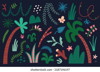 Tropic plants set, various tropic trees and foliage, hanging lianas, palmtree. Bundle of modern botanical elements. Exotic forest plants and leaves, stylized drawing, vector illustrations isolated.