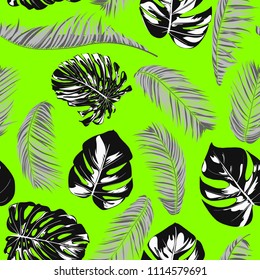 Tropic Seamless Pattern with Monstera. Vector Leaves of Philodendron and Palm. Exotic Summer Background. Handwritten Jungle Foliage. Tropical Seamless Pattern for Cloth Design, Textile, Tile, Paper.