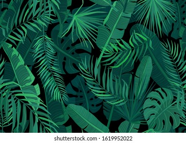 Tropic seamless pattern vector illustration. Tropical floral endless background with exotic palm, banana, monstera leaves on dark black backdrop.