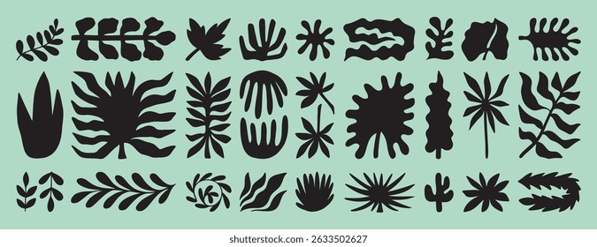 tropic shapes organic plant leaves form set. Exotic plants different modern nature floral shapes. Summer botanical boho silhouette. . Vector illustration