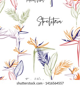 Tropic strelitzia floral seamless pattern.