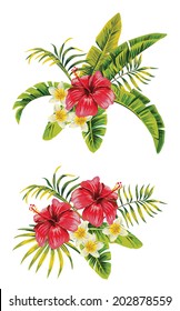 Tropic summer hibiscus and plumeria Seamless vector pattern with palm banana leaf and plants. Composition with flower jungle white background. Hand drawn fashion bunch exotic wallpaper.