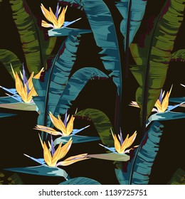 Tropic summer painting seamless vector pattern with palm banana leaf and plants. Floral jungle strelitzia paradise flowers. Trendy bunch exotic  wallpaper on black background. Vintage colors.