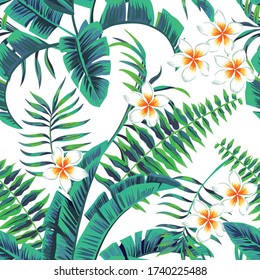 Tropic summer painting seamless vector pattern with palm banana leaf and plants. Floral background jungle plumeria flowers. Trendy bunch exotic floral wallpaper.