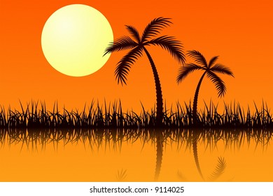 Tropic Sunset
