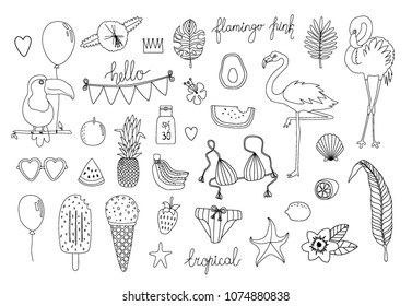Tropic vacation. Vector hand drawn objects