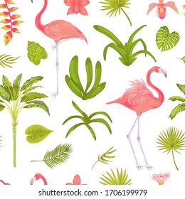 Tropic vector seamless pattern with flamingo bird and orchid flowers and plants