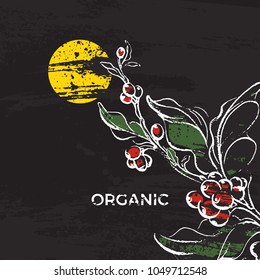 Tropic vector template. Color coffee branch with leaf, bean, sun. Art botanical hand draw retro illustration on black background. Organic aroma drink. Vintage sketch for label, poster, card, symbol 