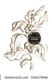Tropic vector template. Natural fresh coffee branch with leaf, bean. Art botanical hand draw retro illustration on white background Organic aroma drink. Vintage sketch for label, poster, card, symbol 